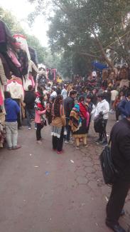 C / PC : fripes de Janpath