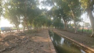 Canal d'irrigation