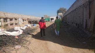 la ferme des volailles