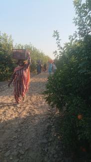 Chargement du camion