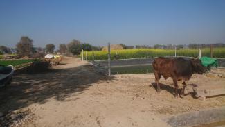 Sur le chemin du canal