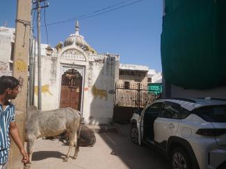 temple familial Amet