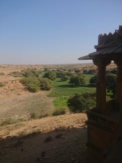 Manguiers à Bada Bagh