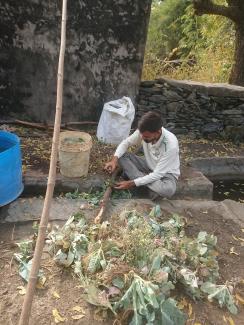 decoupe pour compost