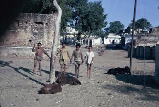 Enfans dans les rues