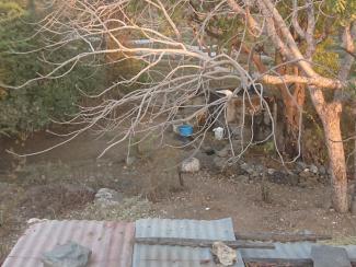 Auvent et puits vu du toit