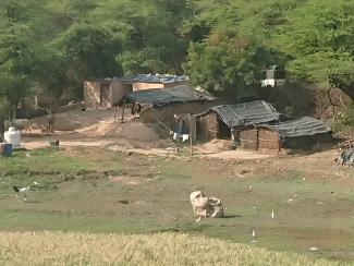 parc botanique et de santé